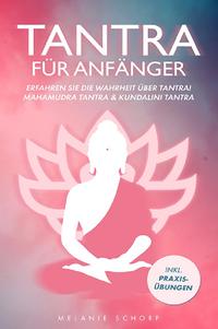 Vorderes Coverbild Tantra für Anfänger
