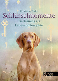 Vorderes Coverbild Schlüsselmomente