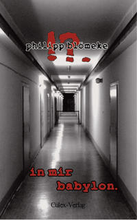 Vorderes Coverbild in mir babylon