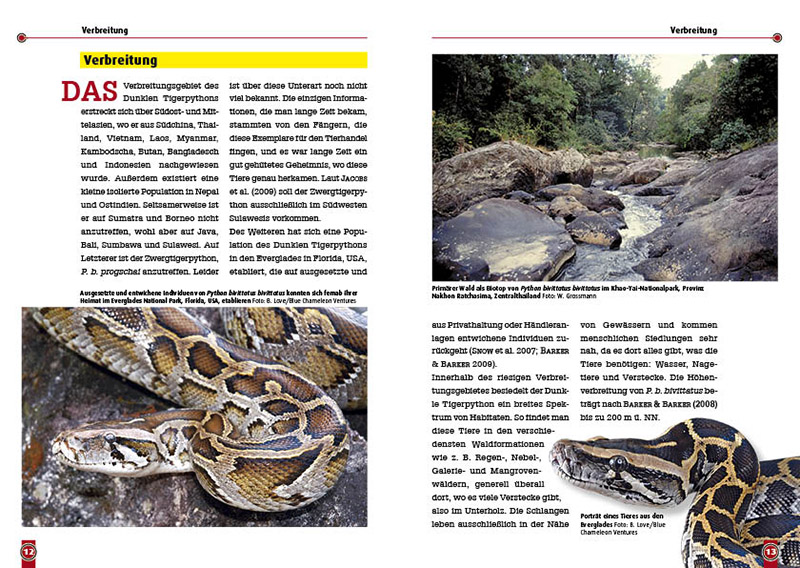 Beispielinhalt (Bild) Der Dunkle Tigerpython