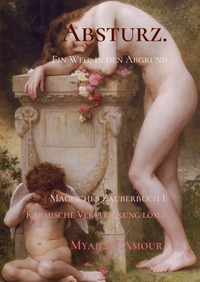 Vorderes Coverbild Absturz.