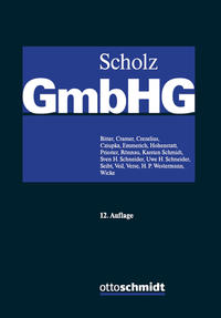 Vorderes Coverbild GmbH-Gesetz, Band II