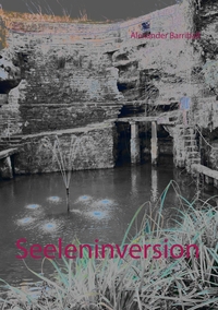 Vorderes Coverbild Seeleninversion