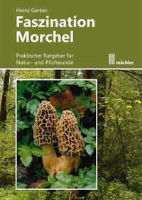 Vorderes Coverbild Faszination Morchel