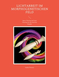 Vorderes Coverbild Lichtarbeit im morphogenetischen Feld