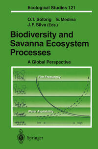 Vorderes Coverbild Biodiversity and Savanna Ecosystem Processes