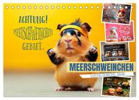 Vorderes Coverbild Meerschweinchen LUSTIG DURCHS JAHR (Tischkalender 2026 DIN A5 quer), CALVENDO Monatskalender