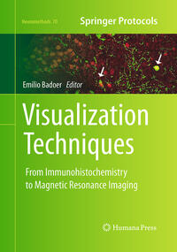 Vorderes Coverbild Visualization Techniques