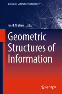 Vorderes Coverbild Geometric Structures of Information