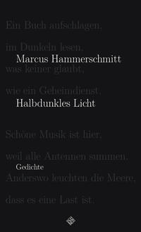 Vorderes Coverbild Halbdunkles Licht