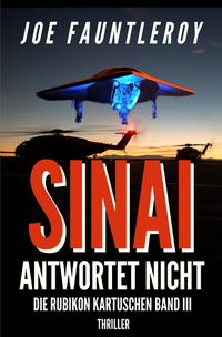 Vorderes Coverbild Die Rubikon-Kartuschen / Sinai antwortet nicht