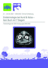 Vorderes Coverbild DGK-DVG: Thementage Endokrinologie bei Hund und Katze 2021