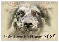 Vorderes Coverbild Altdeutsche Hütehunde 2025 (Tischkalender 2025 DIN A5 quer), CALVENDO Monatskalender