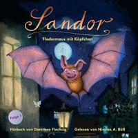 Vorderes Coverbild Sandor – Fledermaus mit Köpfchen