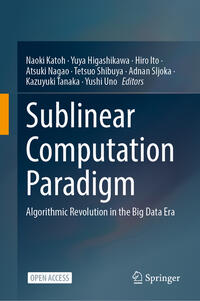 Vorderes Coverbild Sublinear Computation Paradigm
