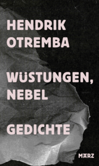 Vorderes Coverbild Wüstungen, Nebel