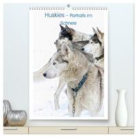 Vorderes Coverbild Huskies - Portraits im Schnee (hochwertiger Premium Wandkalender 2026 DIN A2 hoch), Kunstdruck in Hochglanz