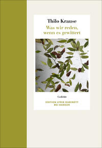 Vorderes Coverbild Was wir reden, wenn es gewittert