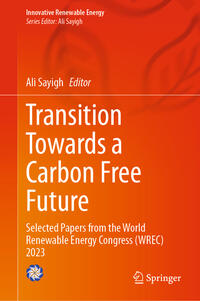Vorderes Coverbild Transition Towards a Carbon Free Future