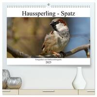 Vorderes Coverbild Haussperling - Spatz fotografiert von Ostfriesenfotografie (hochwertiger Premium Wandkalender 2025 DIN A2 quer), Kunstdruck in Hochglanz