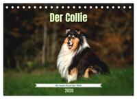 Vorderes Coverbild Der Collie der beste Hund der Welt (Tischkalender 2026 DIN A5 quer), CALVENDO Monatskalender