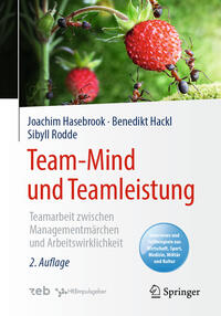Vorderes Coverbild Team-Mind und Teamleistung