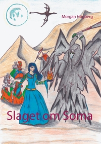 Vorderes Coverbild Slaget om Soma