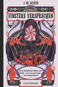 Vorderes Coverbild Finstere Versprechen