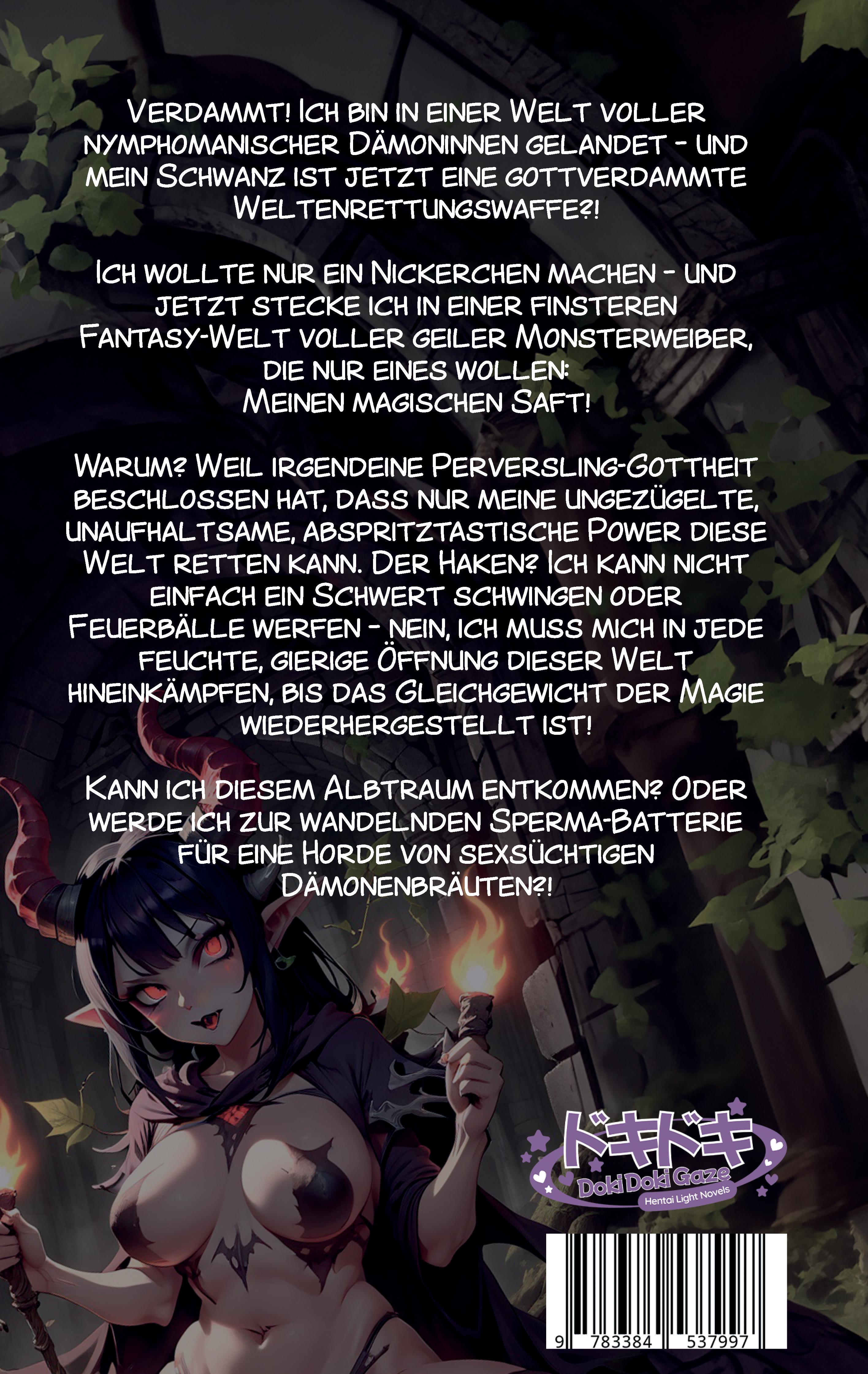 Rückseitencover Load Hero