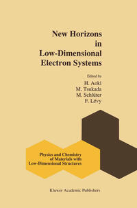 Vorderes Coverbild New Horizons in Low-Dimensional Electron Systems