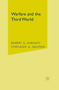 Vorderes Coverbild Warfare and the Third World