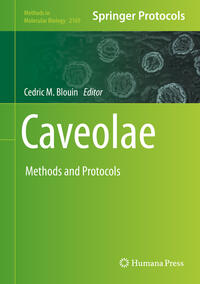 Vorderes Coverbild Caveolae