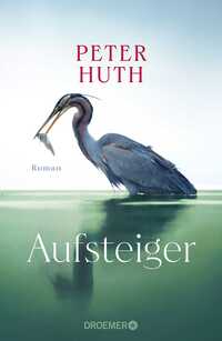 Vorderes Coverbild Aufsteiger
