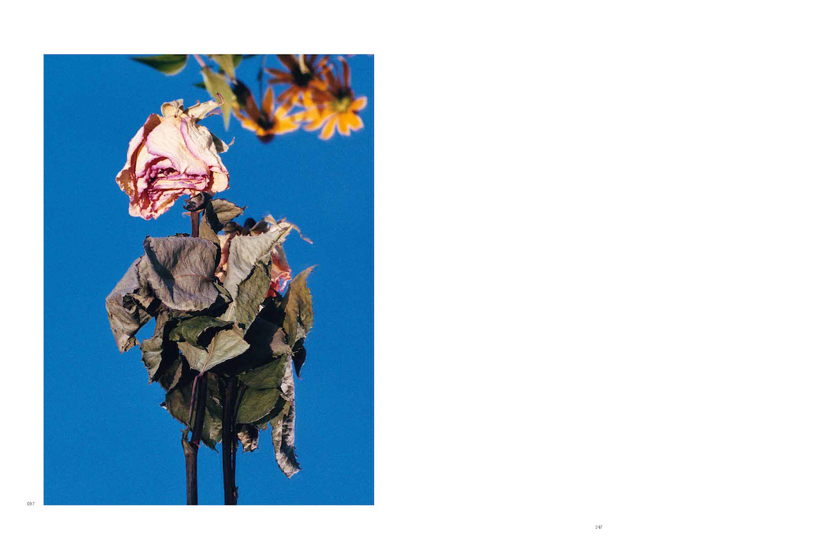 Beispielinhalt (Bild) Marius Glauer