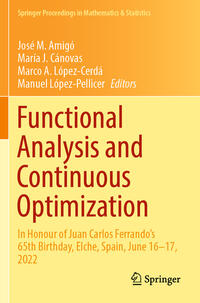Vorderes Coverbild Functional Analysis and Continuous Optimization