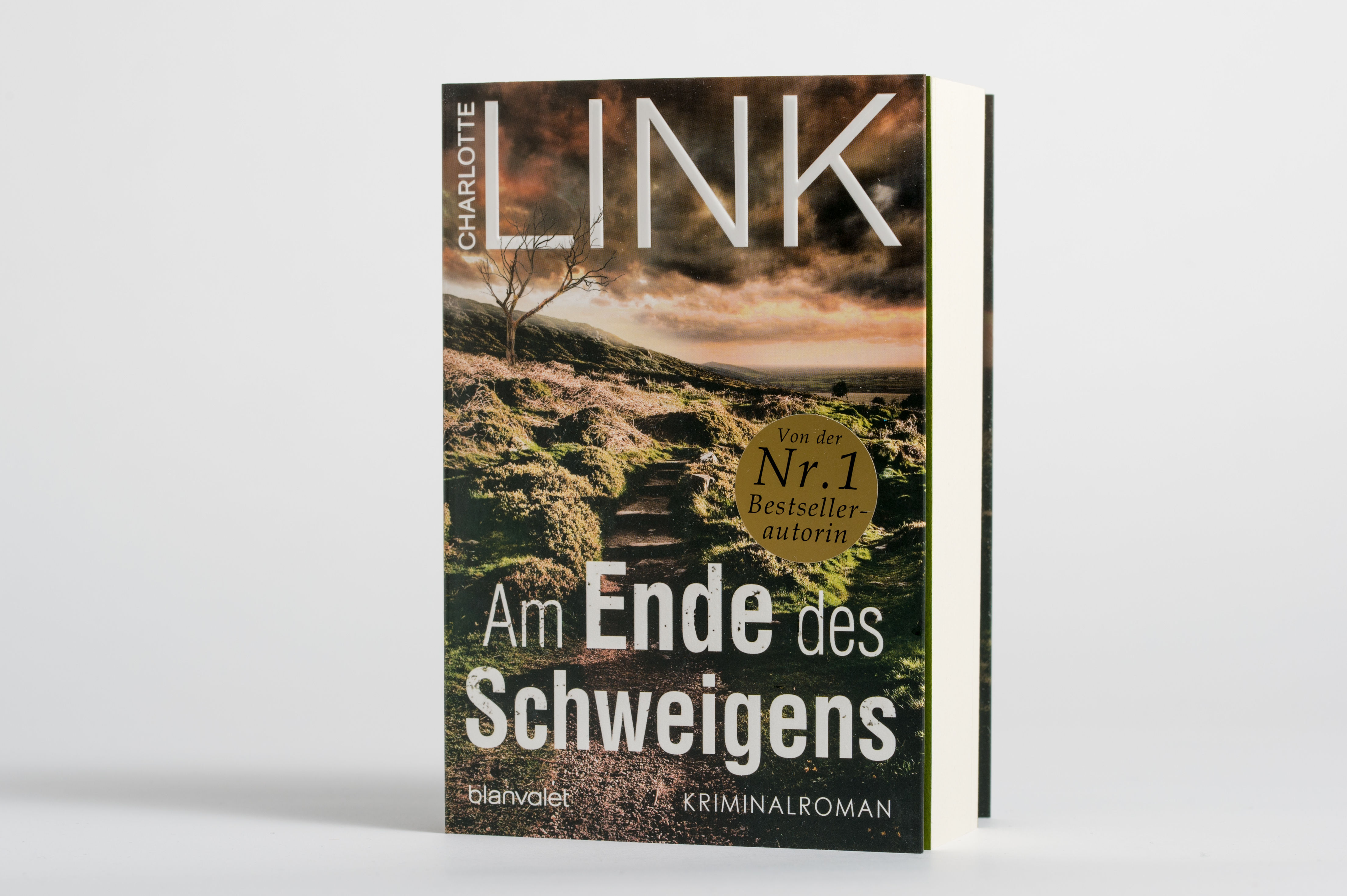 Beispielinhalt (Bild) Am Ende des Schweigens