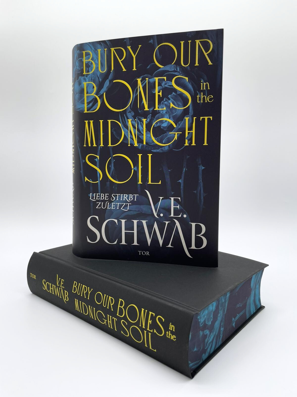 Beispielinhalt (Bild) Bury Our Bones in the Midnight Soil