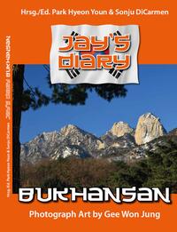 Vorderes Coverbild Jay´s diary