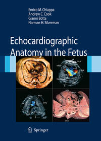 Vorderes Coverbild Echocardiographic Anatomy in the Fetus