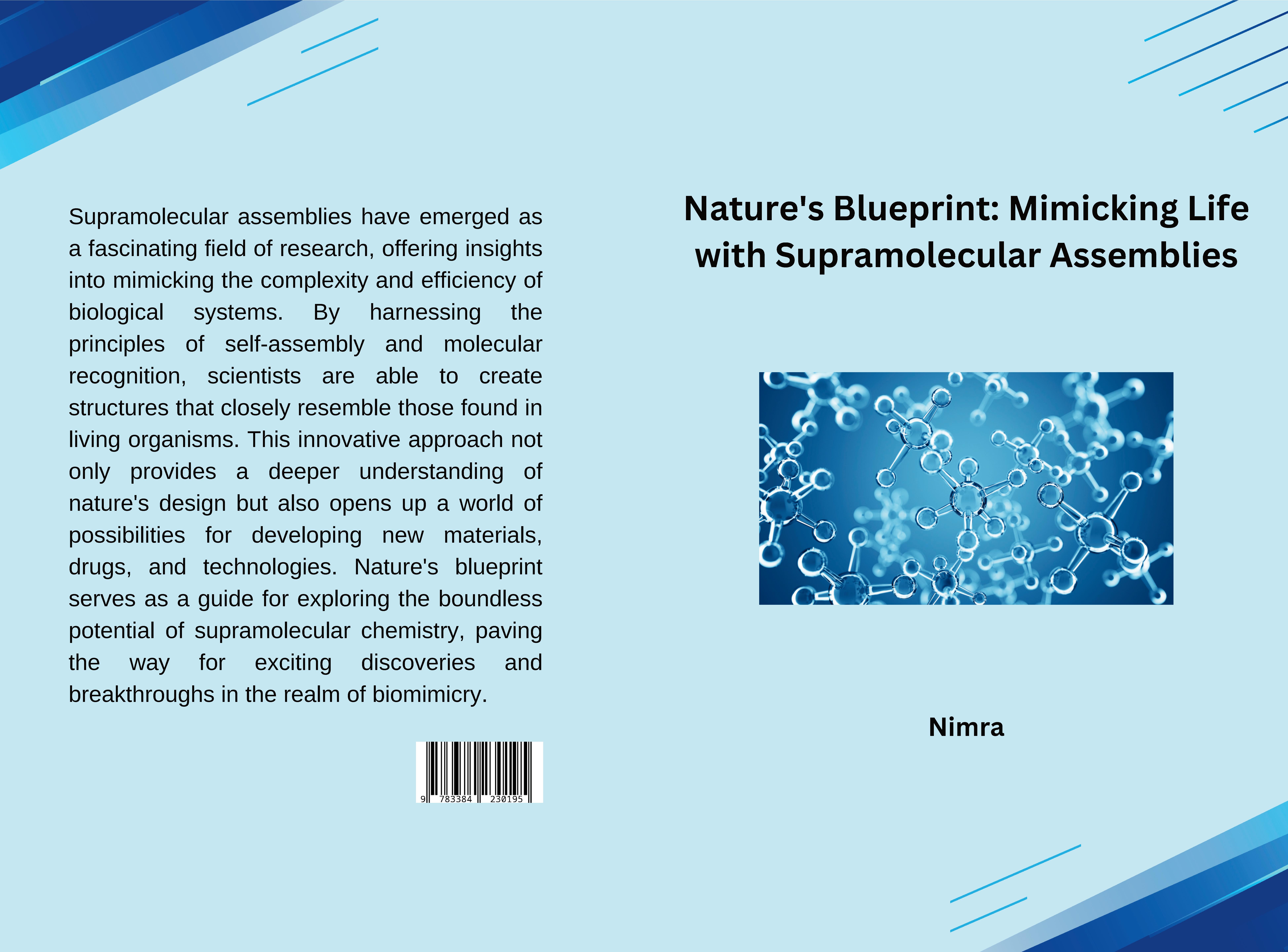 Gesamtes Coverbild Nature's Blueprint: Mimicking Life with Supramolecular Assemblies