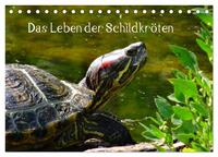 Vorderes Coverbild Das Leben der Schildkröten (Tischkalender 2026 DIN A5 quer), CALVENDO Monatskalender