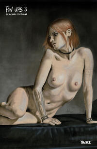 Vorderes Coverbild Pin Ups 3