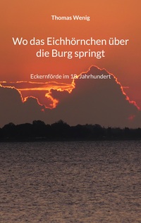 Vorderes Coverbild Wo das Eichhörnchen über die Burg springt