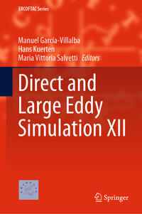 Vorderes Coverbild Direct and Large Eddy Simulation XII