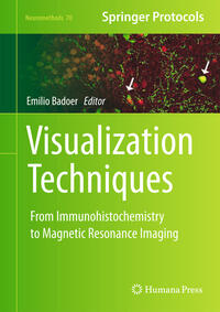 Vorderes Coverbild Visualization Techniques