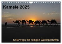 Vorderes Coverbild Kamele 2025 - Unterwegs mit zottigen Wüstenschiffen (Wandkalender 2025 DIN A4 quer), CALVENDO Monatskalender