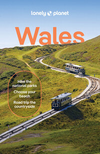 Vorderes Coverbild Lonely Planet Wales