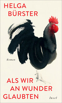 Vorderes Coverbild Als wir an Wunder glaubten