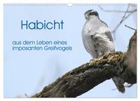 Vorderes Coverbild Habicht - aus dem Leben eines imposanten Greifvogels (Wandkalender 2025 DIN A3 quer), CALVENDO Monatskalender
