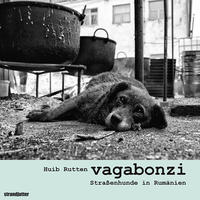 Vorderes Coverbild vagabonzi